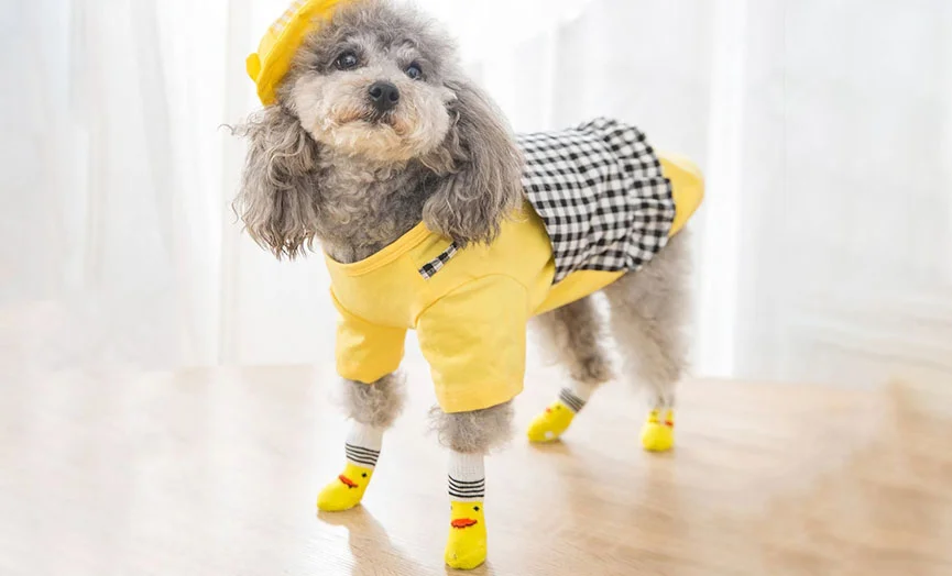 Cute Dog Socks for Paw Care