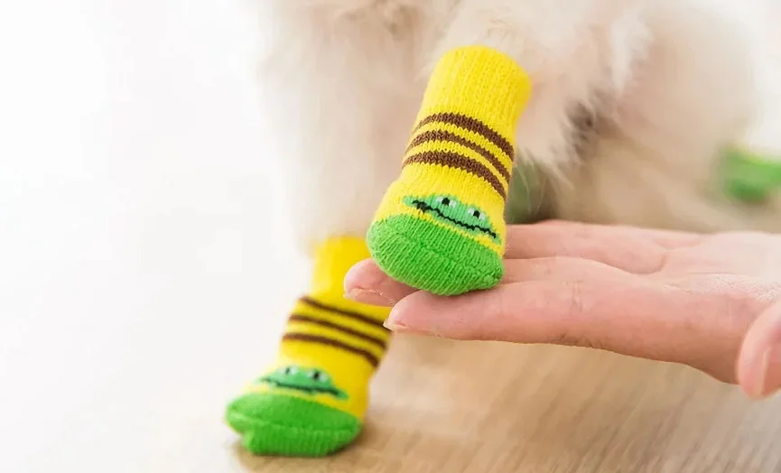 Cute Dog Socks for Paw Care