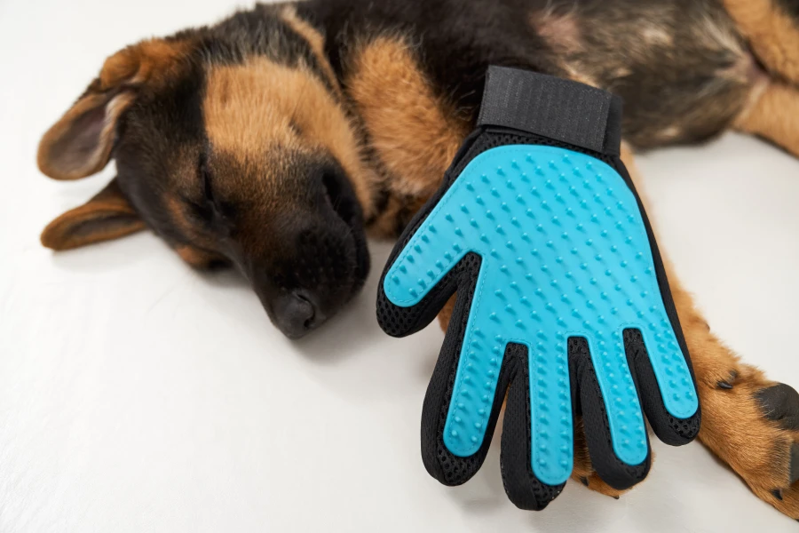 Dual-Sided Grooming Glove for Pets